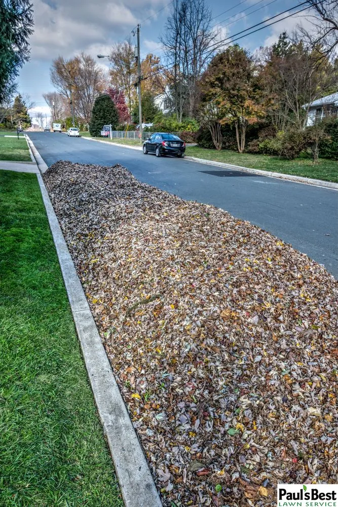 Expert landscaping services experts serving Falls Church, VA - Paul's Best Lawn Service