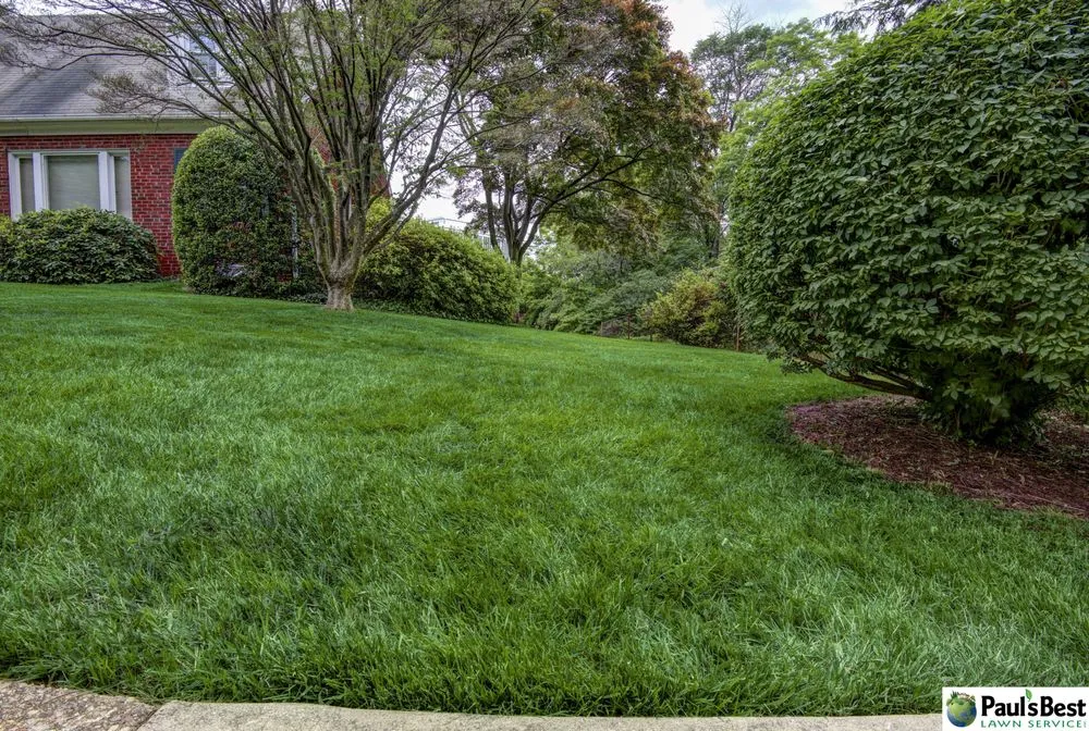 Professional residential landscaping in Falls Church, VA - Paul's Best Lawn Service