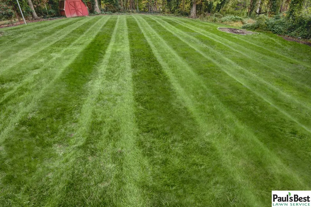 Expert outdoor landscaping in Falls Church, VA - Paul's Best Lawn Service
