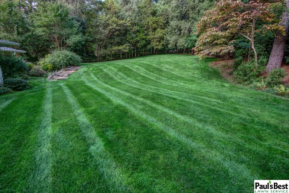 Top-rated landscape design in Falls Church, VA by Paul's Best Lawn Service