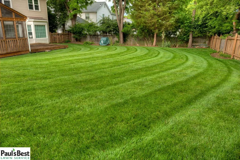 Local garden landscaping in Falls Church, VA - Paul's Best Lawn Service