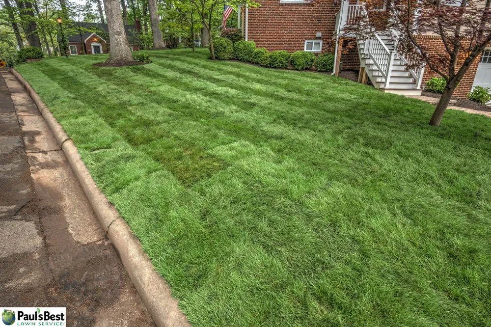 Local outdoor landscaping for beautiful yards in Falls Church, VA by Paul's Best Lawn Service