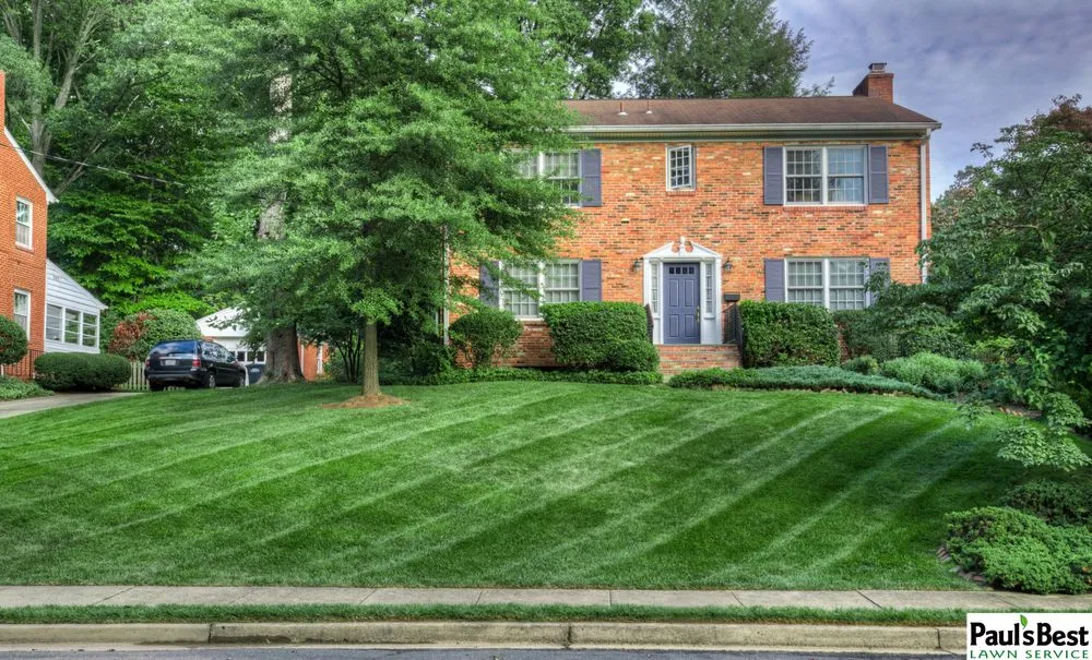 Top-rated yard cleanup service experts serving Falls Church, VA - Paul's Best Lawn Service