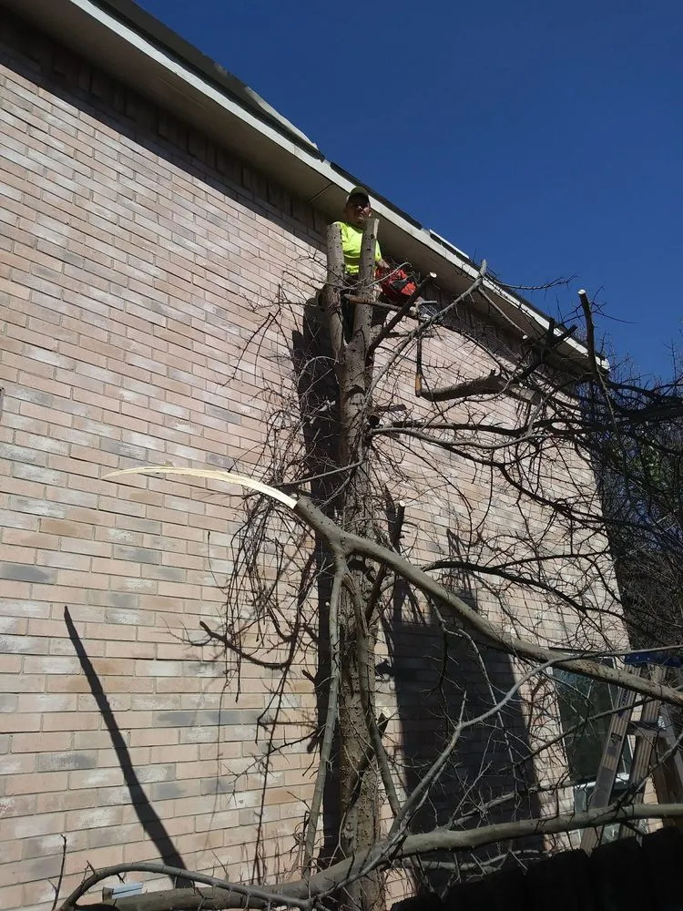 Affordable landscape design experts serving Dallas, TX - Paul's Landscape Service