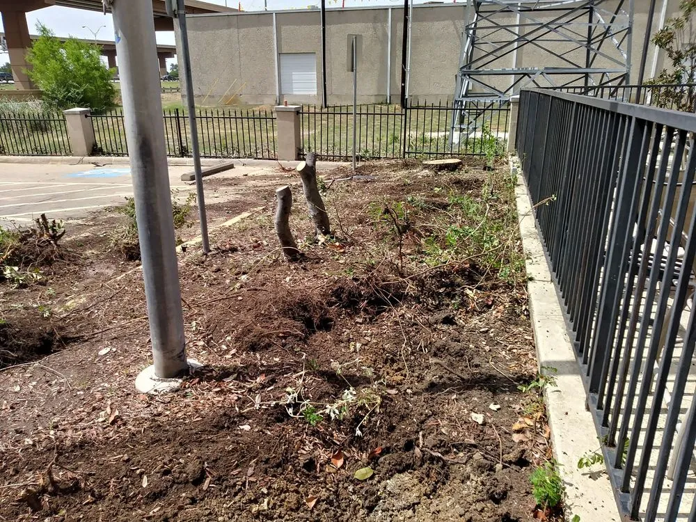 Trusted residential landscaping for year-round maintenance in Dallas, TX by Paul's Landscape Service