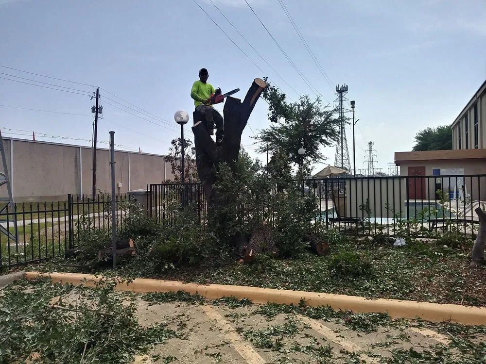 Top-rated yard maintenance for homes in Dallas, TX by Paul's Landscape Service