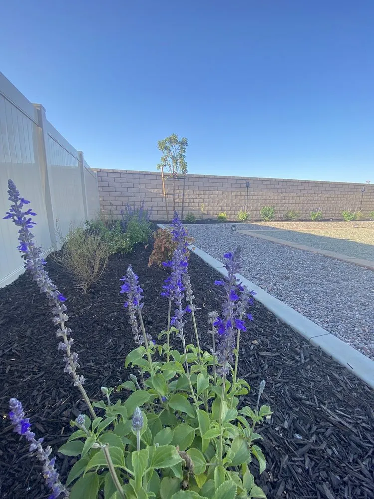 Affordable yard cleanup service in Menifee, CA - Paul's Landscape Services