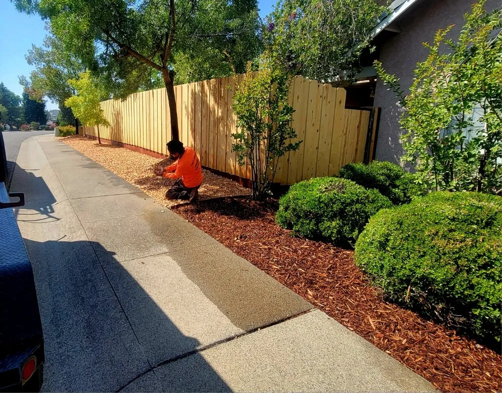 Professional outdoor landscaping for homes across Redding, CA - Paul's Landscapes