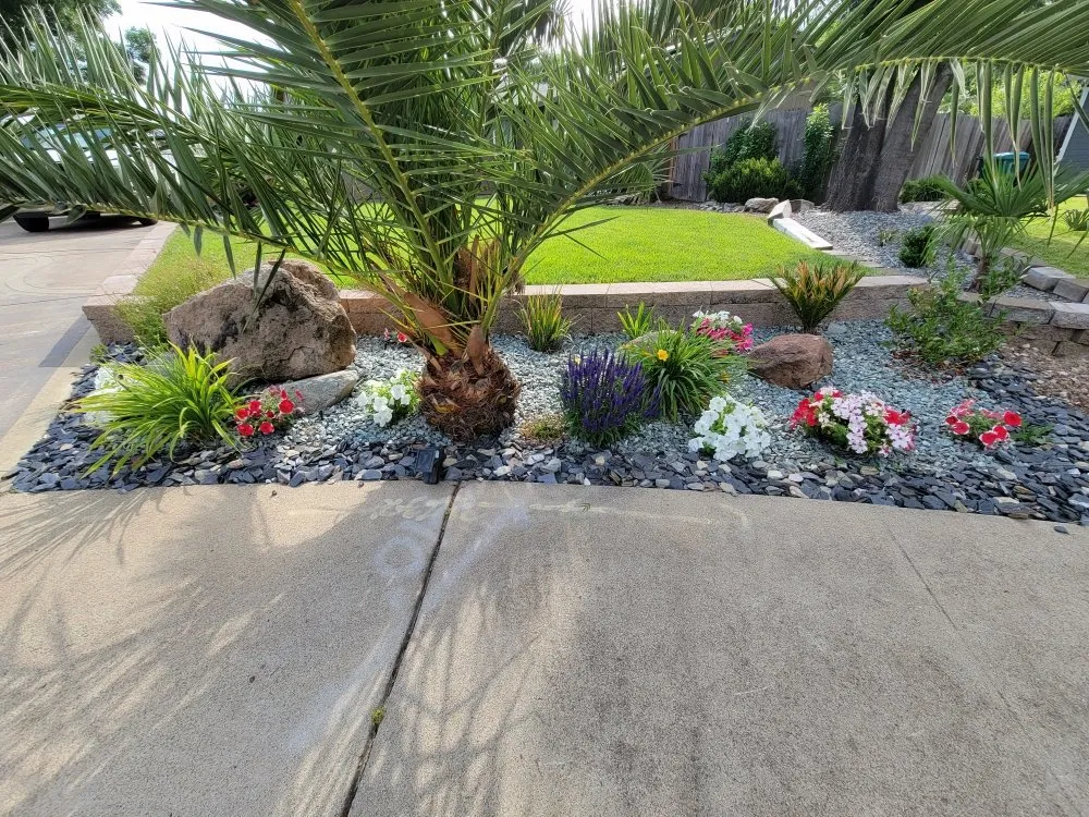 Top-rated lawn care service for residential properties across Redding, CA - Paul's Landscapes