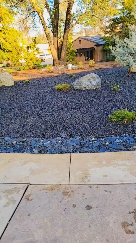 Trusted lawn care service for homes across Redding, CA - Paul's Landscapes