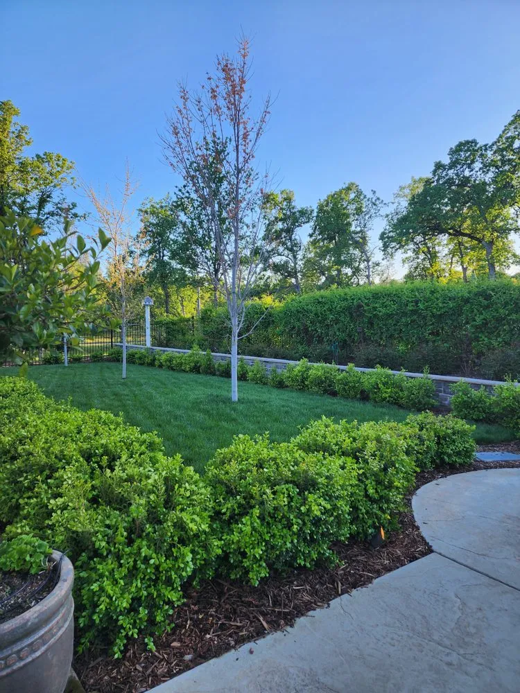 Top-rated residential landscaping for residential properties in Redding, CA by Paul's Landscapes