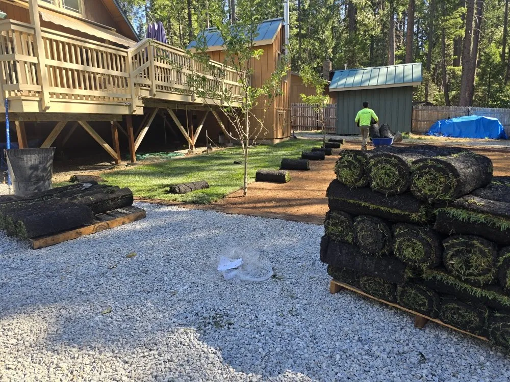 Expert yard cleanup service for year-round maintenance across Redding, CA - Paul's Landscapes