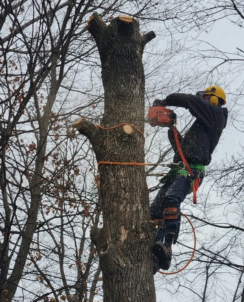 Trusted lawn mowing service experts serving Webster, NY - Paul's Landscaping of NY