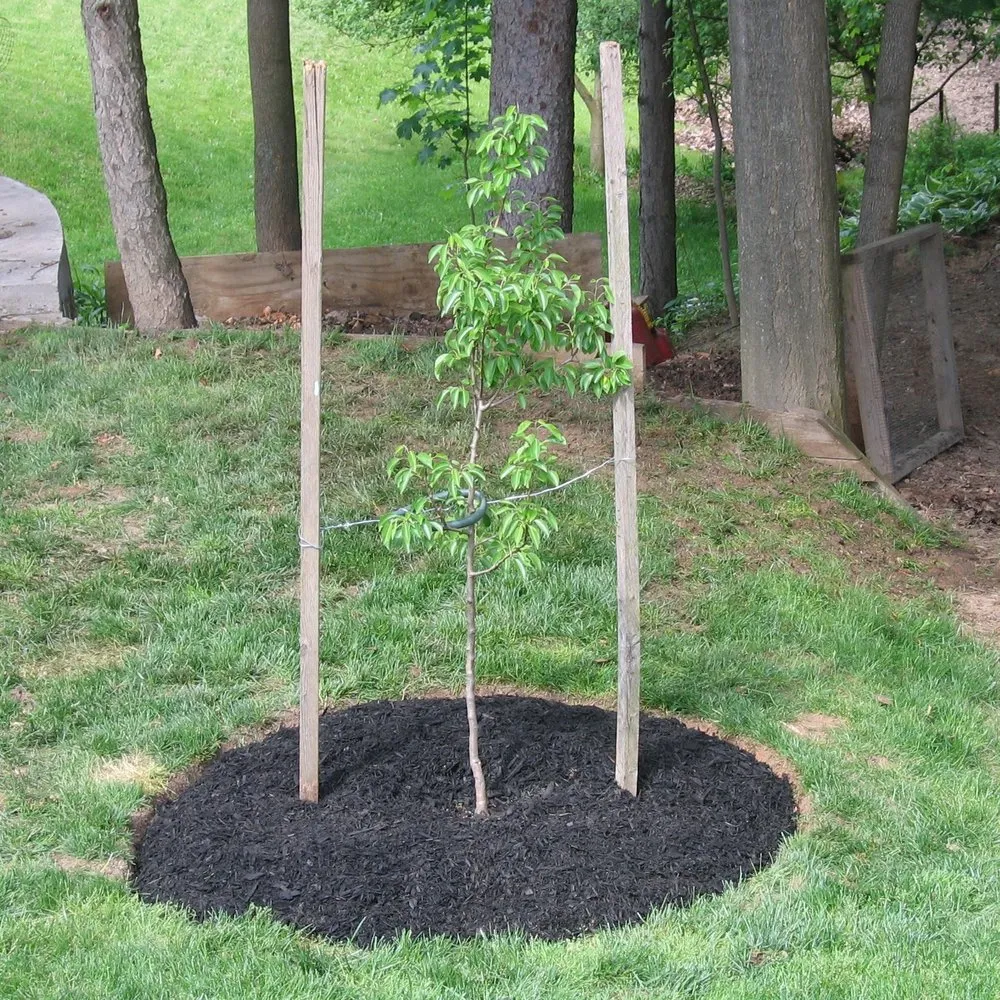 Trusted lawn care service in Webster, NY - Paul's Landscaping of NY