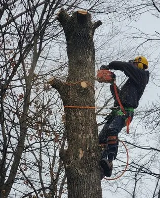 Paul's Landscaping of NY