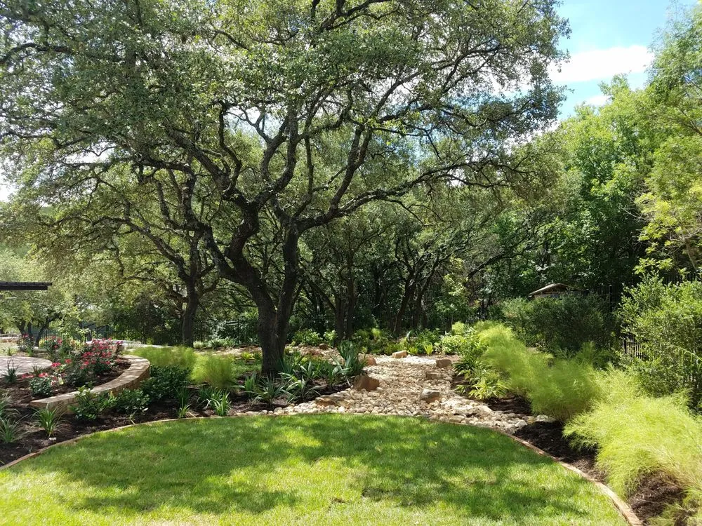 Top-rated landscape installation for year-round maintenance across Leander, TX - Paul's Lawn & Landscape