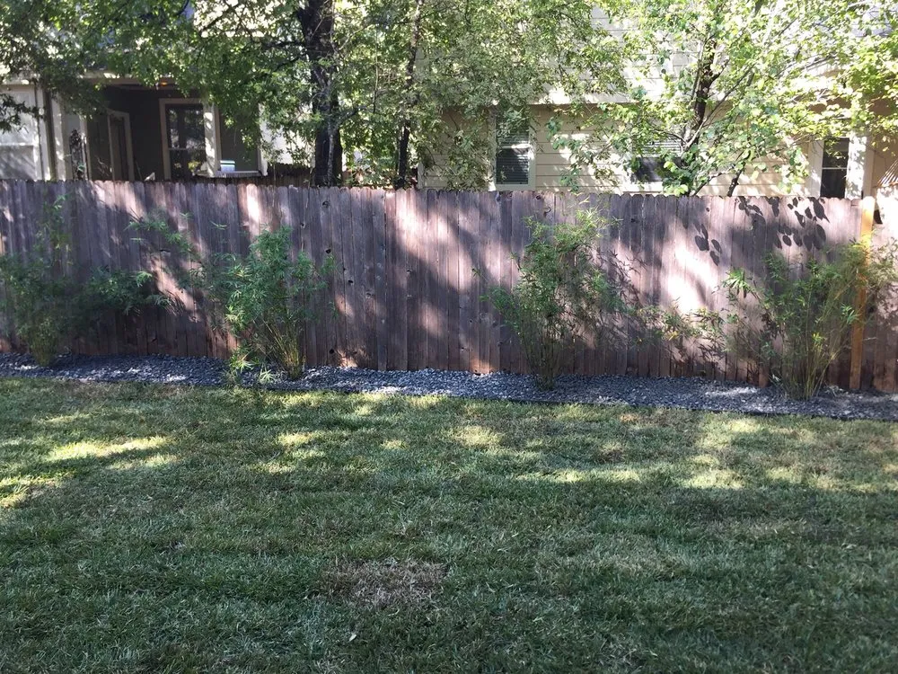 Custom landscape installation for beautiful yards across Leander, TX - Paul's Lawn & Landscape