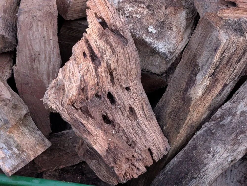 Local garden landscaping experts serving Levittown, PA - Paul's Lawn & Landscaping