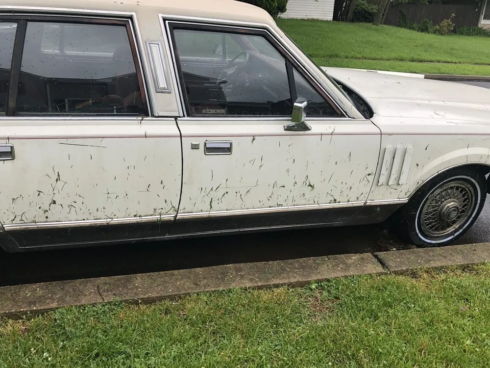 Professional yard maintenance in Levittown, PA - Paul's Lawn & Landscaping