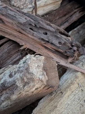 Paul's Lawn & Landscaping