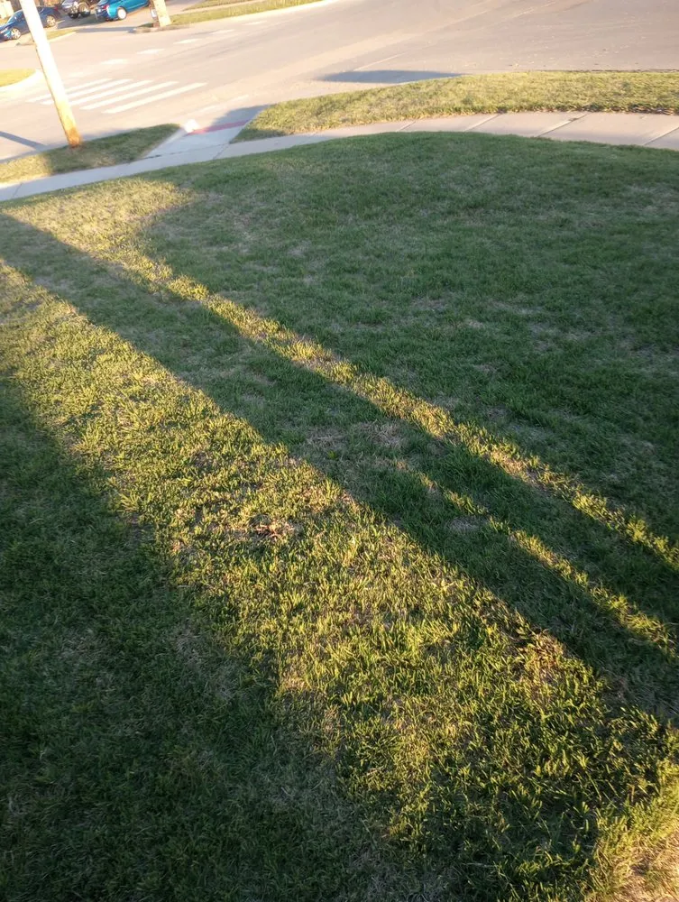 Reliable landscape installation in Moore, OK - Paul's Lawn and Tree Service