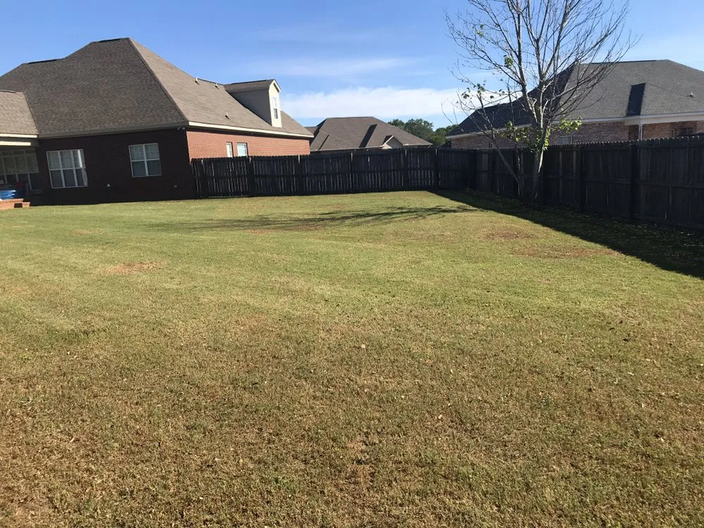 Expert lawn care service in Hartford, AL by Paul’s Lawn Care & Pressure Washing