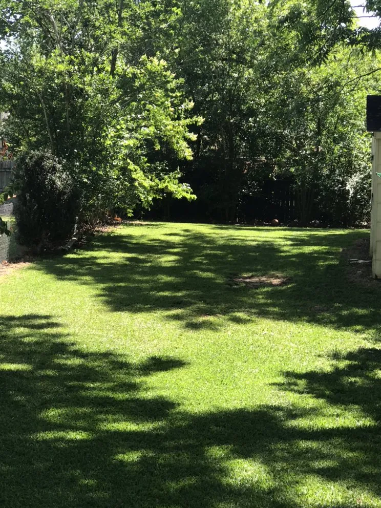 Custom residential landscaping with custom design across Hartford, AL - Paul’s Lawn Care & Pressure Washing