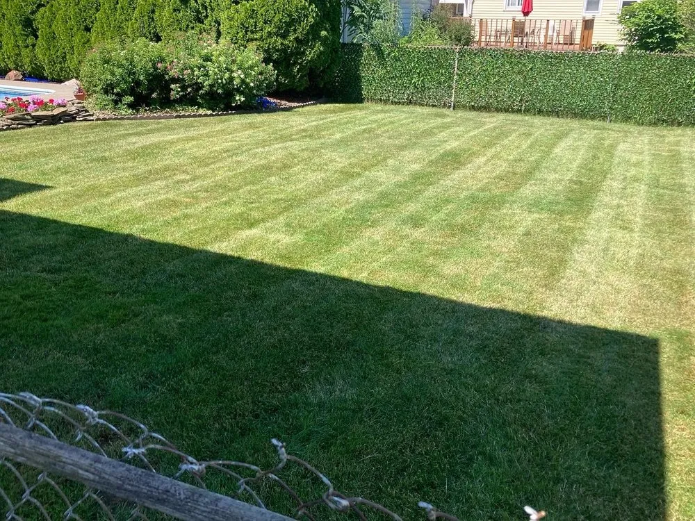 Affordable lawn mowing service for year-round maintenance across West Seneca, NY - Paul's Lawn Care