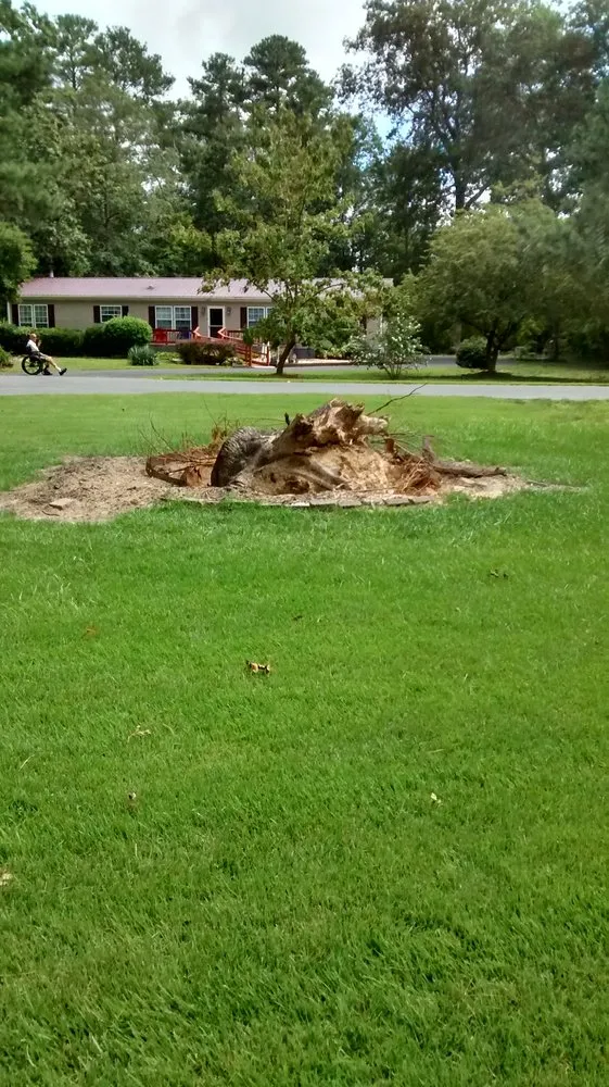 Top-rated lawn mowing service for beautiful yards across Millsboro, DE - Paul's Lawn Service