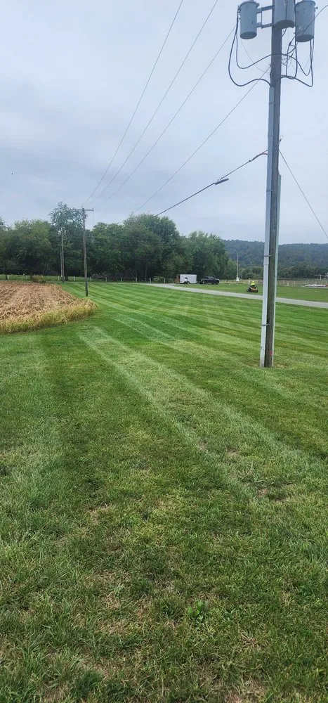 Trusted yard cleanup service in Milford, PA - Pauls LawnCare & Excavation