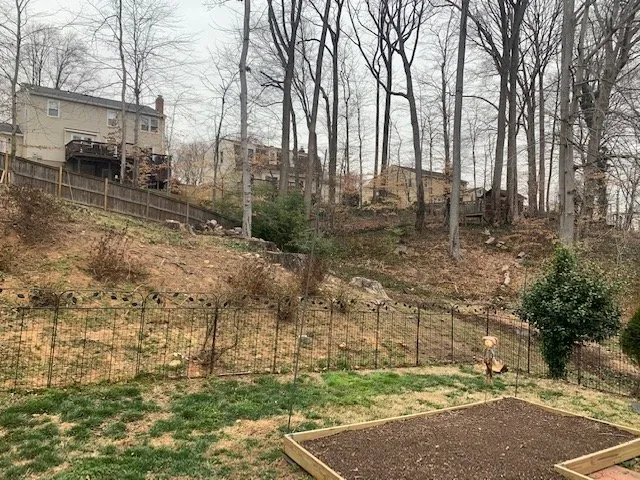 Professional lawn care service in Falls Church, VA by Paul's Legacy Landscaping