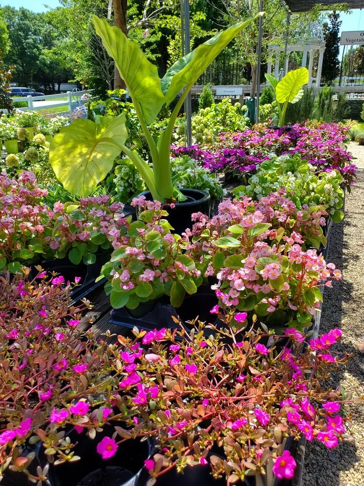 Expert landscape installation for homes in Old Brookville, NY by Paul's Nursery