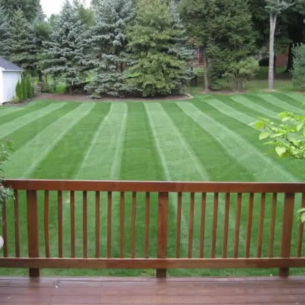 Custom yard cleanup service experts serving Rittman, OH - Paul's Pristine Lawn and Lights