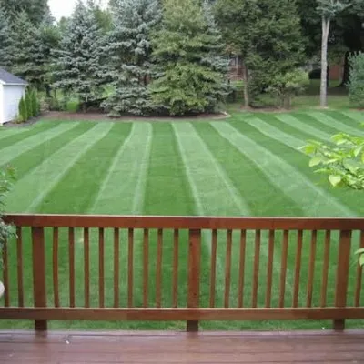 Paul's Pristine Lawn and Lights