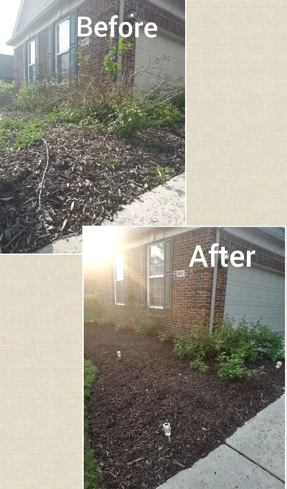 Trusted landscape design in Ann Arbor, MI by Paul's Professional Weeding Service