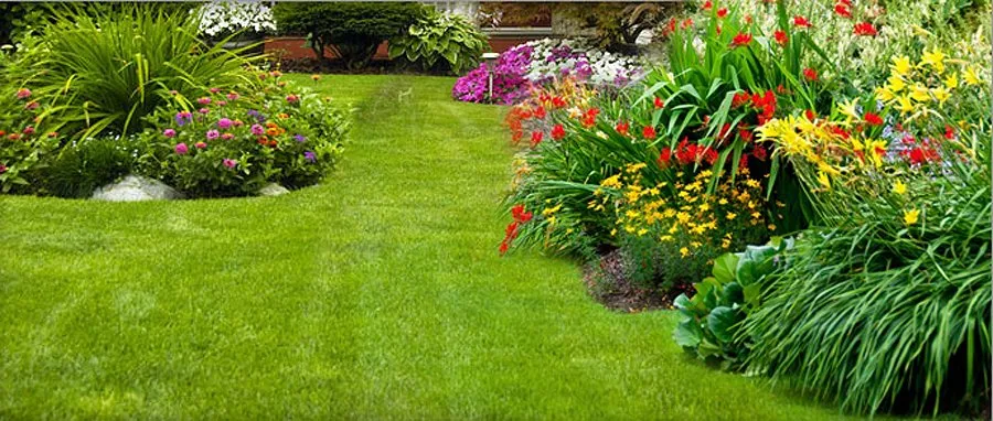 Reliable yard cleanup service experts serving Ann Arbor, MI - Paul's Professional Weeding Service