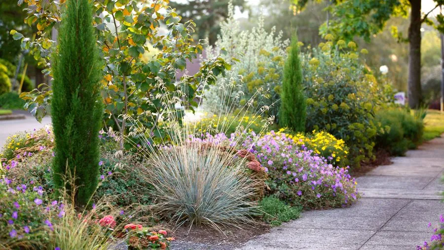 Expert yard maintenance near you in Oakland, CA by Paul's Sunshine Landscaping