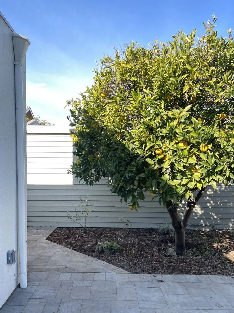 Local landscape installation near you in Oakland, CA by Paul's Sunshine Landscaping