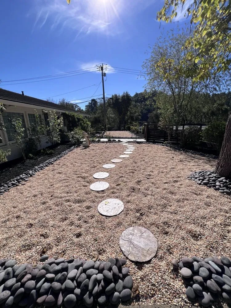 Professional yard cleanup service in Oakland, CA by Paul's Sunshine Landscaping