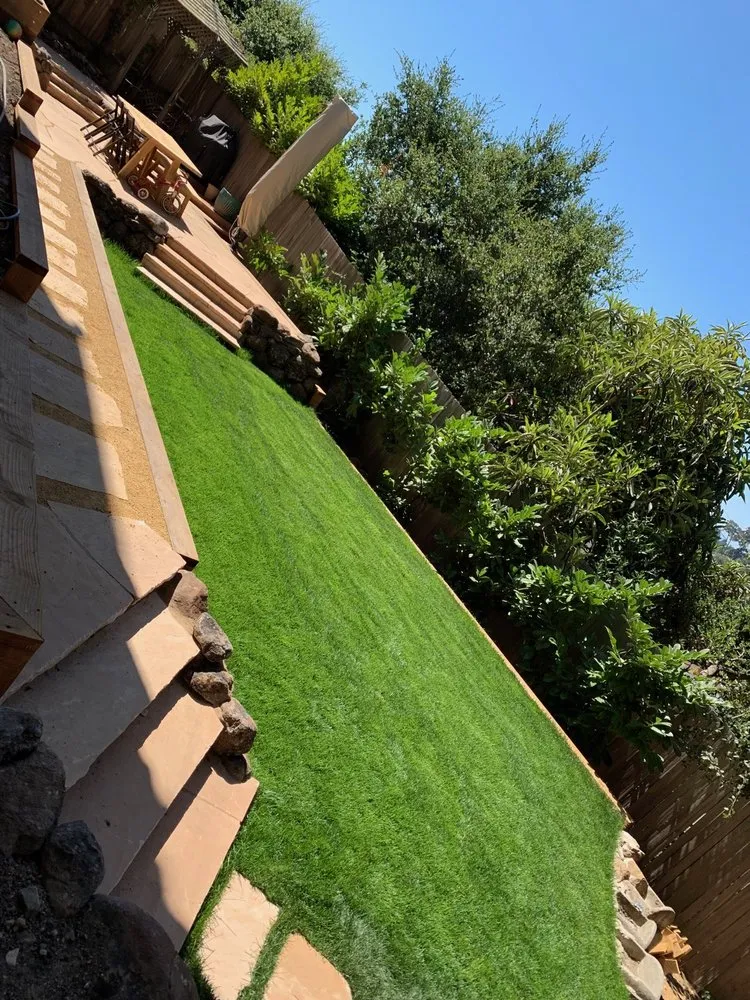 Affordable lawn care service in Oakland, CA by Paul's Sunshine Landscaping