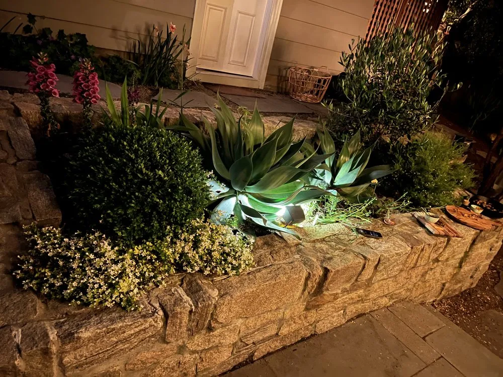 Local lawn mowing service in Oakland, CA by Paul's Sunshine Landscaping