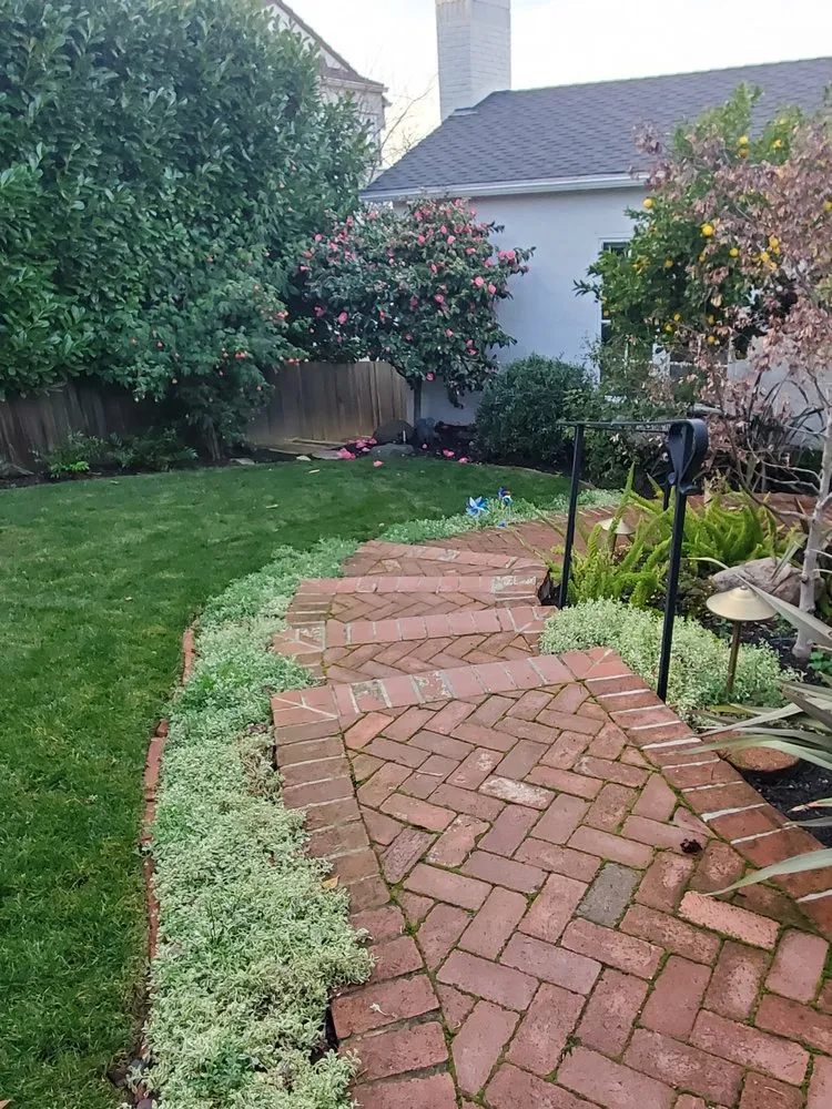 Professional lawn mowing service for year-round maintenance in Oakland, CA by Paul's Sunshine Landscaping