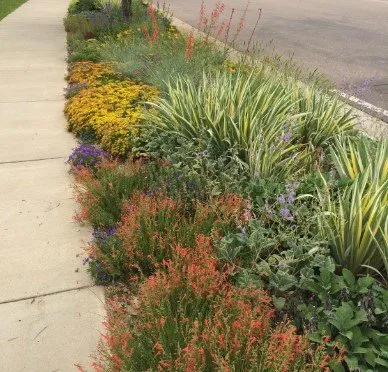 Trusted outdoor landscaping in Oakland, CA - Paul's Sunshine Landscaping