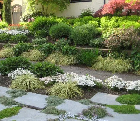 Top-rated lawn care service experts serving Oakland, CA - Paul's Sunshine Landscaping