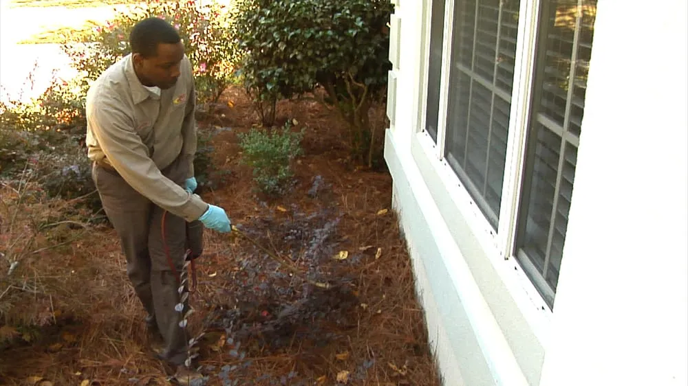 Custom residential landscaping in Tallahassee, FL - Paul's Termite and Pest Control