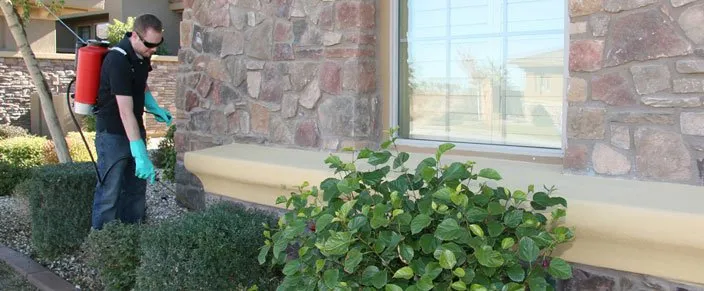 Reliable landscape design in Tallahassee, FL - Paul's Termite and Pest Control