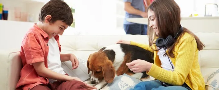 Local residential landscaping for year-round maintenance in Tallahassee, FL by Paul's Termite and Pest Control