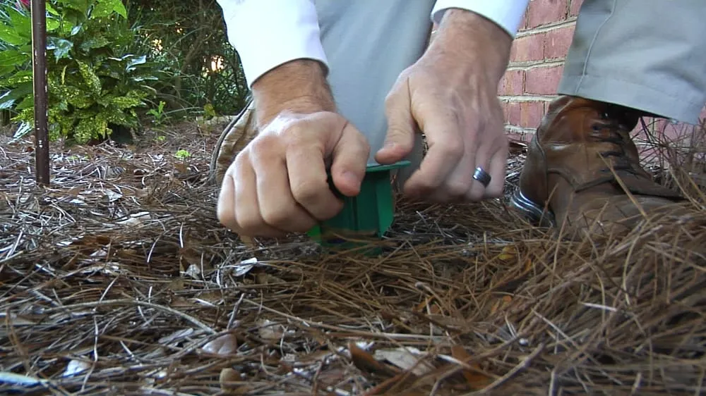 Top-rated lawn mowing service for residential properties across Tallahassee, FL - Paul's Termite and Pest Control