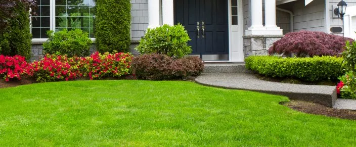 Custom residential landscaping for beautiful yards in Tallahassee, FL by Paul's Termite and Pest Control