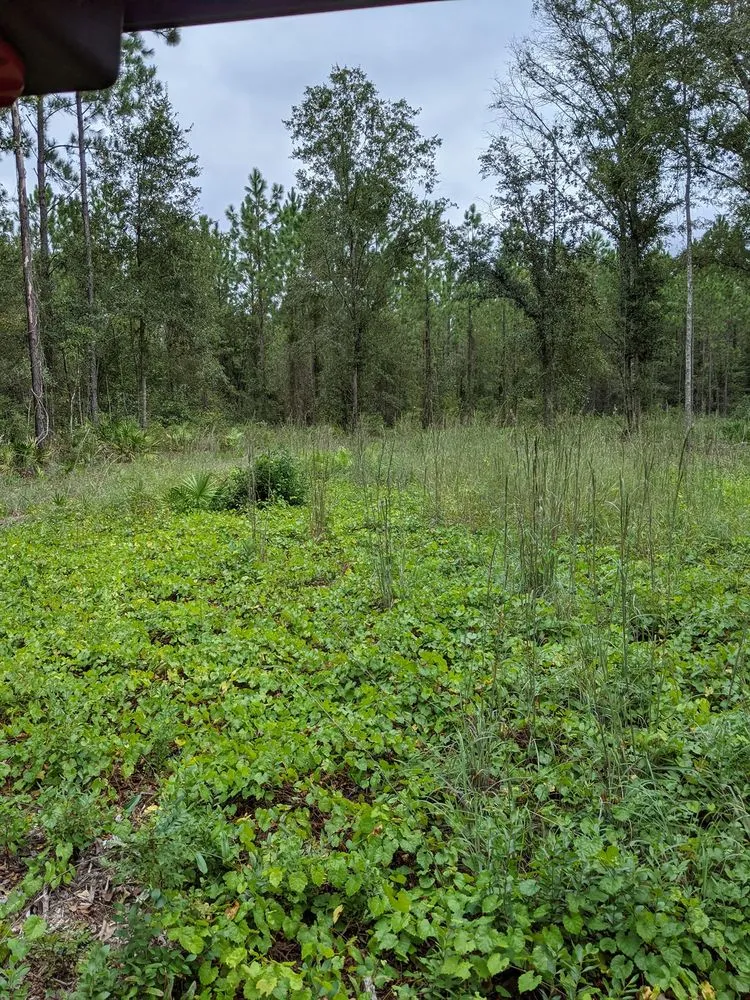 Professional outdoor landscaping for homes across Nahunta, GA - Paul's Tractor Services